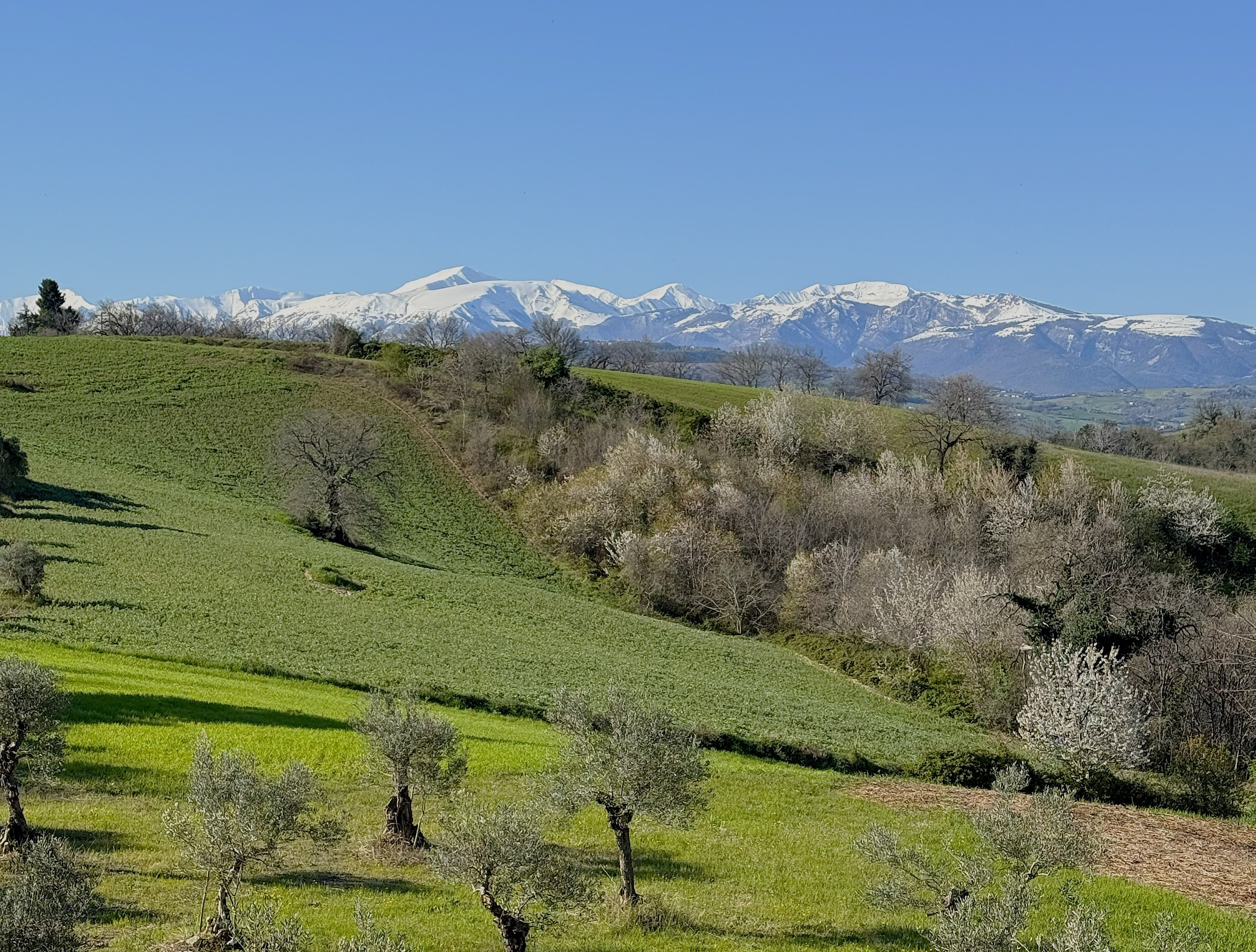 Monti e paesaggio marchigiano